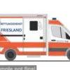 Wietmarscher Ambulanzfahrzeug RTW, 2018, Rettungsdienst Friesland, 1:87, Rietze